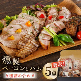 【ふるさと納税】燻製 ベーコン・ハム 5種詰め合わせ ベーコン ハム スペアリブ 燻製 スモーク 詰合せ 熊本県 特産品 5点 セット 豚肉 肉 ポーク 深燻 おかず ワイン や お酒 に合う おつまみ くんせい くん製 国産 九州 熊本 山鹿 冷凍 惣菜【燻製工房 縁】[ZBF005]