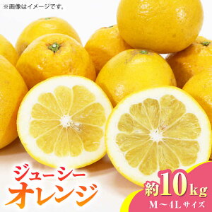 yӂ邳Ɣ[Łzys\zW[V[ IW 10kg M~4LTCYy܂ӂz[ZBG012]