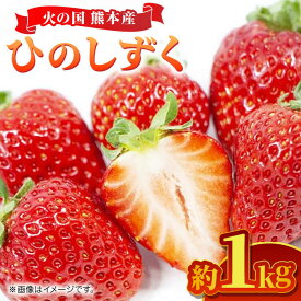 【ふるさと納税】【先行予約】 ひのしずく 約1kg 【くまふる】[ZBG027]