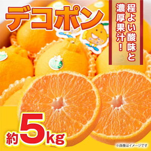 yӂ邳Ɣ[Łzys\zfR| 5kg 12ʁ`20 y܂ӂz[ZBG059]