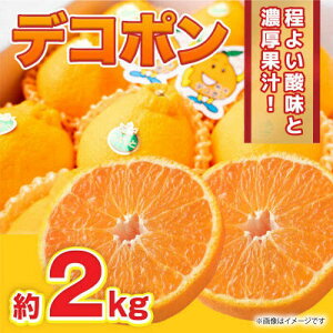 yӂ邳Ɣ[Łzys\zfR| 2kg 6ʁ`8 y܂ӂz[ZBG060]