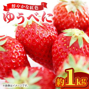 yӂ邳Ɣ[Łzys\z䂤ׂ 1kgy܂ӂz[ZBG063]