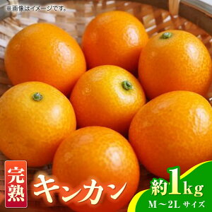 yӂ邳Ɣ[Łzys\zn LJ 1kg y܂ӂz[ZBG079]