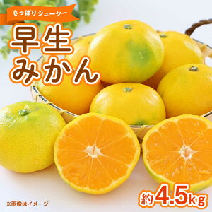 yӂ邳Ɣ[Łz݂@4.5kg y܂ӂz[ZBG082]