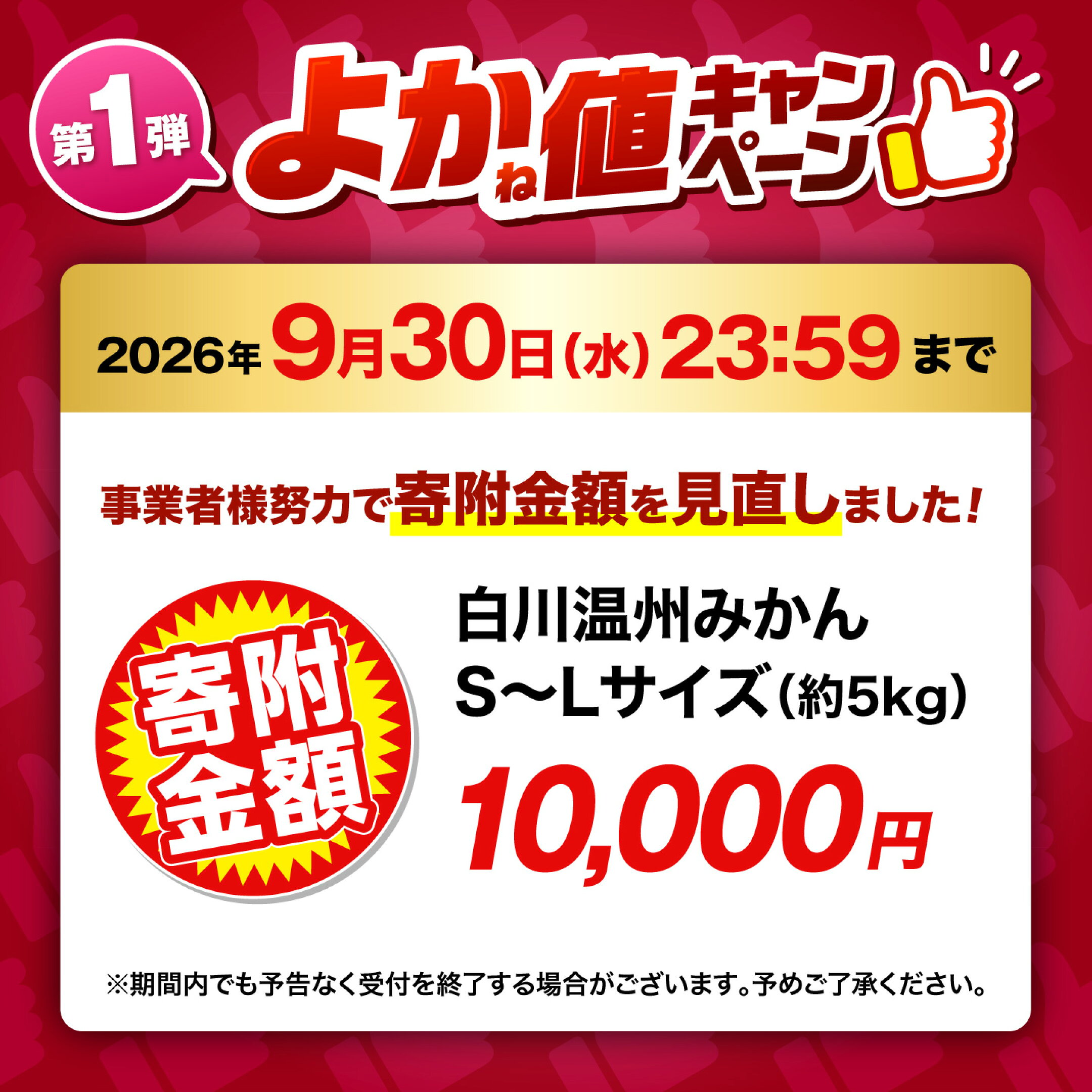 【先行予約】白川 温州 みかん S～Lサイズ 約5kg 