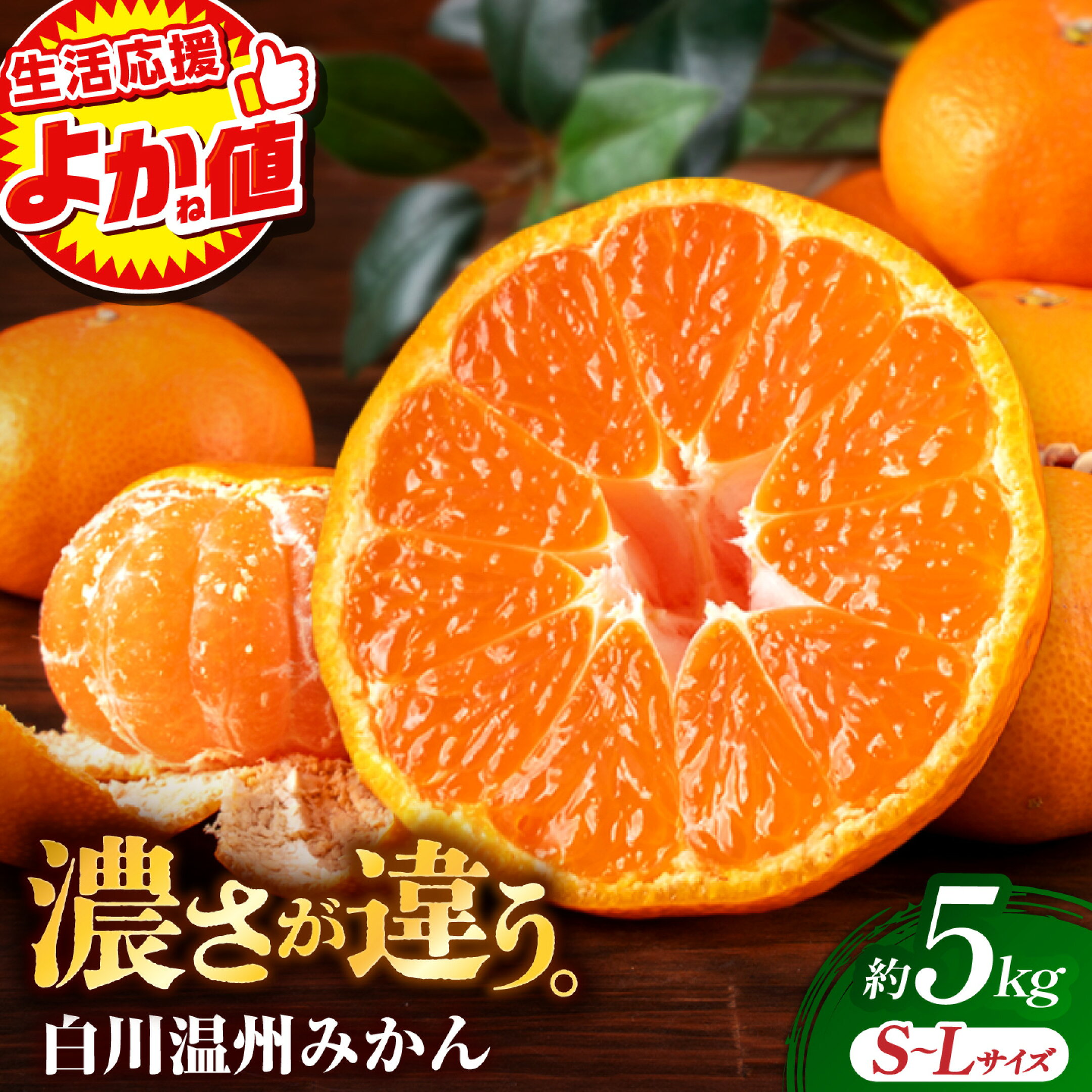 【先行予約】白川 温州 みかん S～Lサイズ 約5kg 