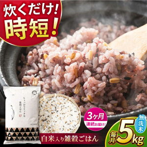 yӂ邳Ɣ[Łzs VĐs\ tyS3ցz2025N10菇 sv G͂  5kg y _YxXgp[gi[z[ZBP146] G G    Ђ̂