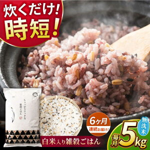yӂ邳Ɣ[Łzs VĐs\ tyS6ցz2025N10菇 sv G͂  5kg y _YxXgp[gi[z[ZBP147] G G    Ђ̂