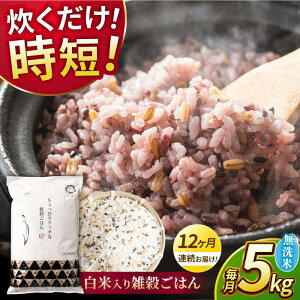yӂ邳Ɣ[Łzs VĐs\ tyS12ցz2025N10菇 sv G͂  5kg y _YxXgp[gi[z[ZBP148] G G    Ђ̂