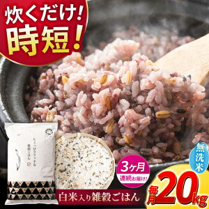 yӂ邳Ɣ[Łzs VĐs\ tyS3ցz2025N10菇 sv G͂  20kg y _YxXgp[gi[z[ZBP154] G G    Ђ̂