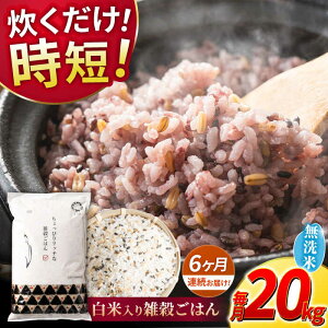 yӂ邳Ɣ[Łzs VĐs\ tyS6ցz2025N10菇 sv G͂  20kg y _YxXgp[gi[z[ZBP155] G G    Ђ̂