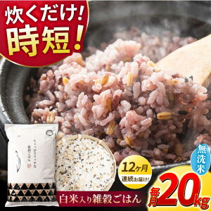 yӂ邳Ɣ[Łzs VĐs\ tyS12ցz2025N10菇 sv G͂  20kg y _YxXgp[gi[z[ZBP156] G G    Ђ̂