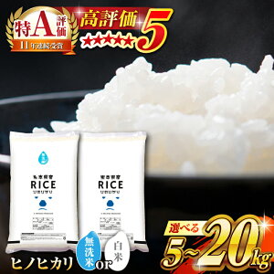 yӂ邳Ɣ[Łzs VĐs\ t2025N10菇 eʁEĂIׂIqmqJ 5kg 10kg 20kg y _YxXgp[gi[z[ZBP013]    lC R~ ] 