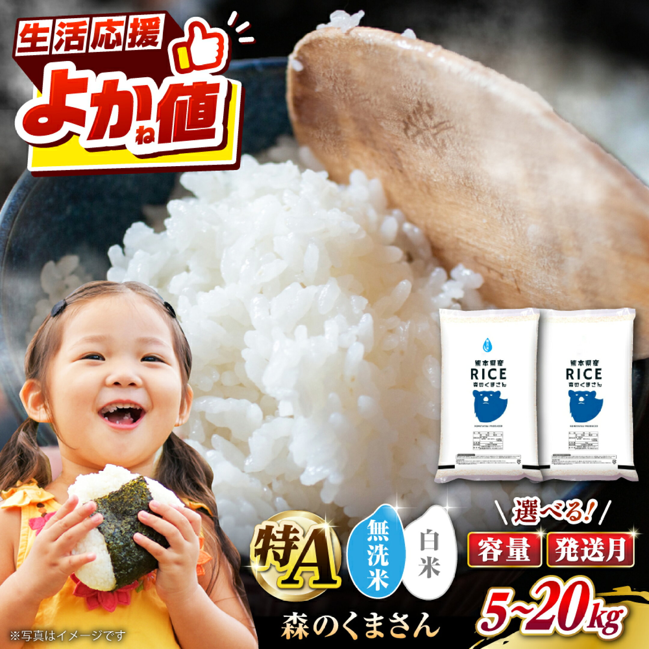 【ふるさと納税】No.467森のくまさん無洗米10kg【令和4年産】熊本県産