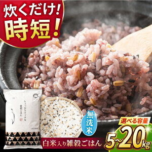 yӂ邳Ɣ[Łzs VĐs\ t2025N10菇 eIׂIsv G͂  5kg 10kg 20kg y _YxXgp[gi[z[ZBP145] G G    Ђ