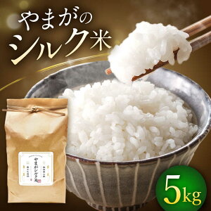 yӂ邳Ɣ[Łz܂VN 5kgy ܂z[fBOX NSPRHz[ZBR040]