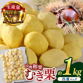 【ふるさと納税】むき栗 約1kg 【株式会社あんず】[ZBT014]