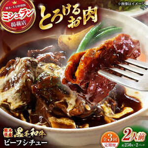 【ふるさと納税】【全3回定期便】 熊本県産 黒毛和牛 こだわりのビーフシチュー 計2パック (約250g×2パック) ビーフシチュー ビーフ シチュー 牛肉 肉  【有限会社スイートサプライなか