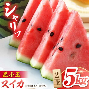 yӂ邳Ɣ[Łzys\z XCJ (ЂƂ肶 BonBon) 2 v5kgyR_z[ZBY001] ʕ   Z Gߕ { Yn Â H  TCY B F{ R