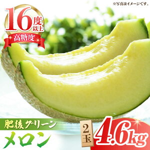 yӂ邳Ɣ[Łzys\z O[ x16xȏ 2 v4.6kgyR_z[ZBY002] ʕ   ߂ { t[c  O[ uh Â x 16x H