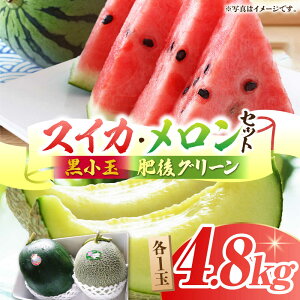 yӂ邳Ɣ[Łzys\z XCJ (ЂƂ肶BonBon)EO[ ̃Zbg e1ʁiv 4.8kgjyR_z[ZBY003] ʕ   Z  ߂ Gߕ { Y