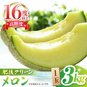 yӂ邳Ɣ[Łzys\z O[  x16xȏ 1 3kgyR_z[ZBY004] ʕ   ߂ { t[c O[ uh Â x 16x H 