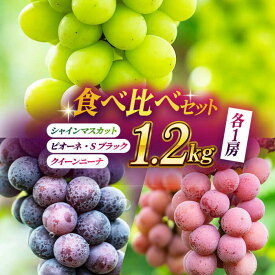 【ふるさと納税】【先行予約】【数量限定】ぶどうの宝石 3色 食べ比べセット 計1.2kg（3房）【合同会社 社方園】[ZBZ004]