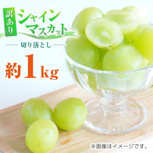 yӂ邳Ɣ[Łz󂠂 VC}XJbg ؂藎Ƃ 1kg uhE   Y F{ R ʕ  t[c lC LO uh Ly[ Yi  Yn 