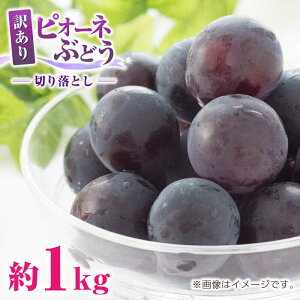 yӂ邳Ɣ[Łzys\z 󂠂 sI[l Ԃǂ ؂藎Ƃ 1kg uhE   Y F{ R ʕ  t[c lC LO uh Ly[ Yi 