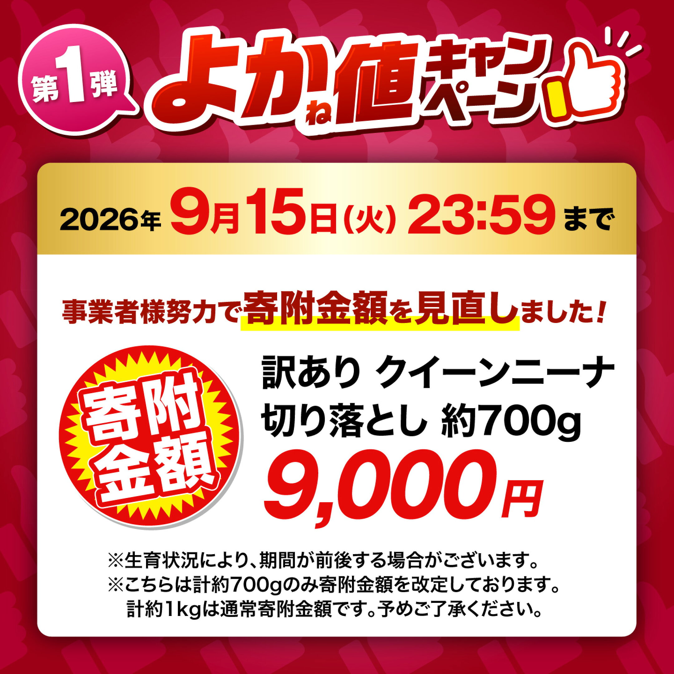 訳あり クイーンニーナ ぶどう 切り落とし 約700g 