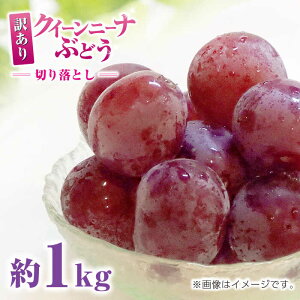 yӂ邳Ɣ[Łz󂠂 NC[j[i Ԃǂ ؂藎Ƃ 1kg uhE   Y F{ R ʕ  t[c lC LO uh Ly[ Yi  Yn 