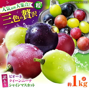 yӂ邳Ɣ[Łzys\z 󂠂 Ԃǂ3 Hה ؂藎Ƃ v1kg y Еz[ZBZ009] uhE   Y F{ R ʕ  t[c lC LO u