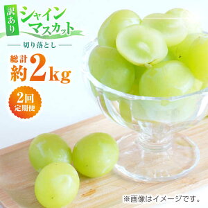 yӂ邳Ɣ[Łzys\zy2ցz󂠂 VC}XJbg ؂藎Ƃ 1kg y Еz[ZBZ010] uhE   Y F{ R ʕ  t[c lC 