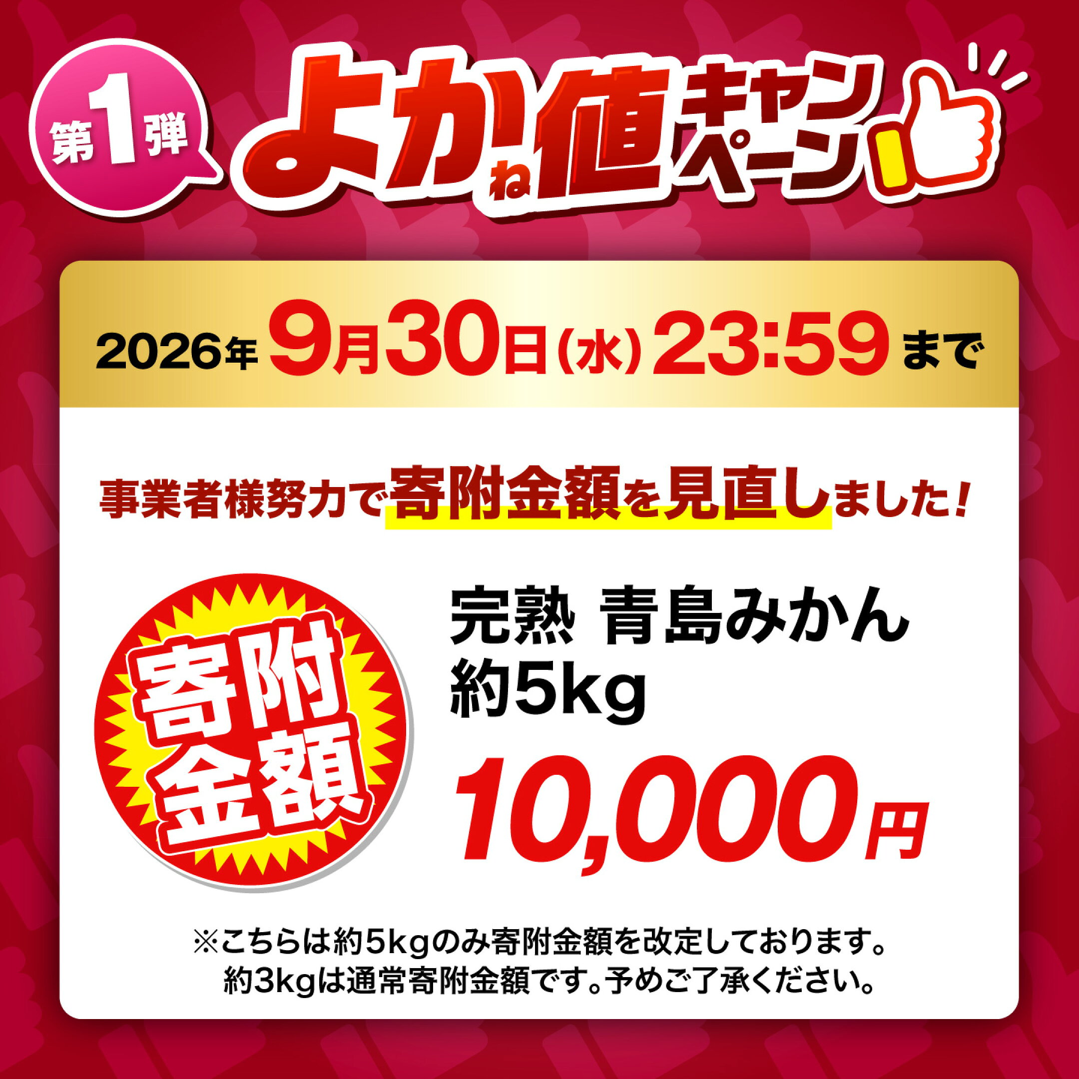 【先行予約】完熟 青島 みかん 約5kg【合同会社 社方園】