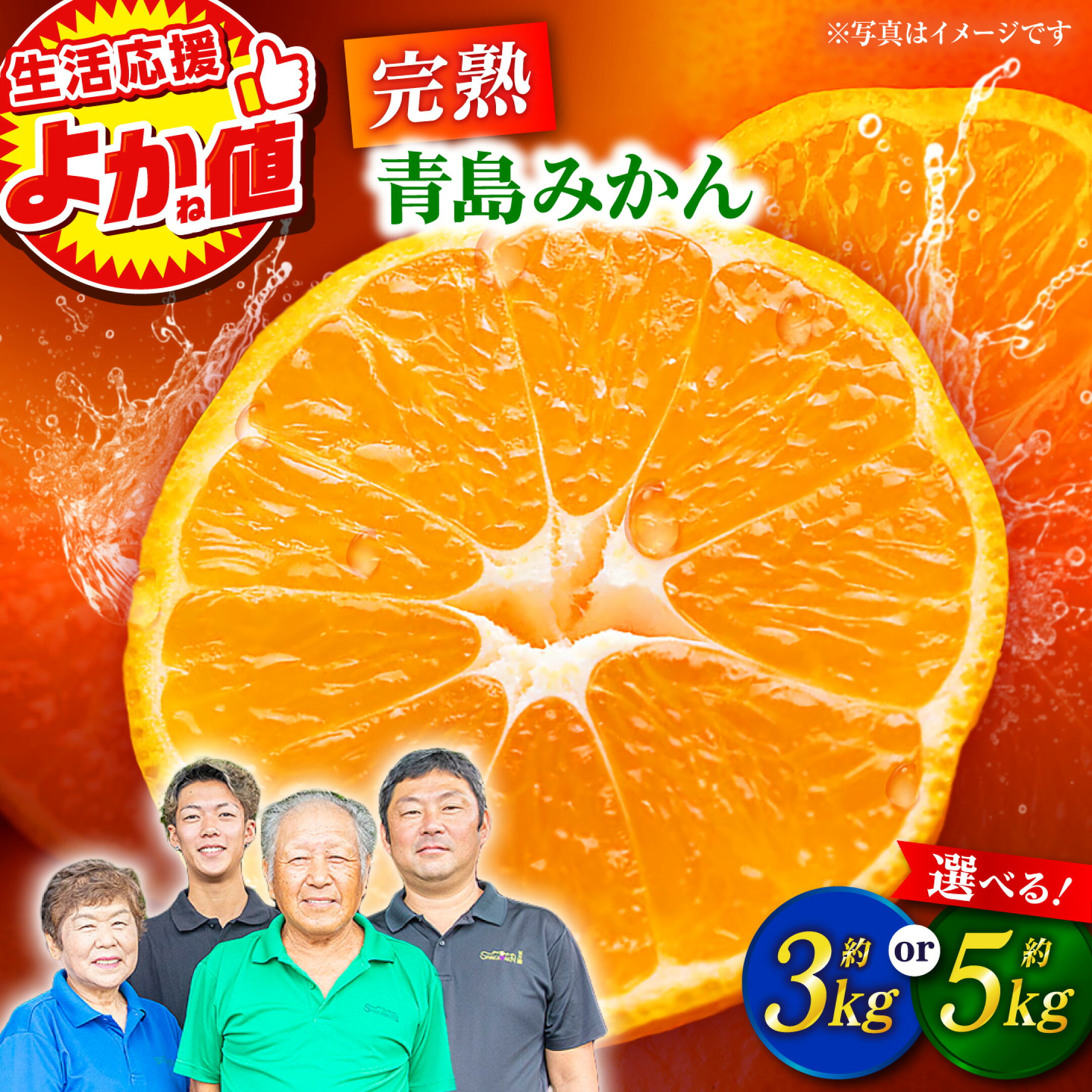 【先行予約】完熟 青島 みかん 約5kg
