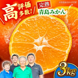 【ふるさと納税】【先行予約】完熟 青島 みかん 約3kg【合同会社 社方園】[ZBZ011] ミカン 蜜柑 温州 うんしゅう 産地 柑橘 かんきつ 果物 くだもの フルーツ 人気 ランキング 旬 季節 産地直送 国産 熊本県 山鹿 期間限定 レビュー 口コミ 特産品 送料無料