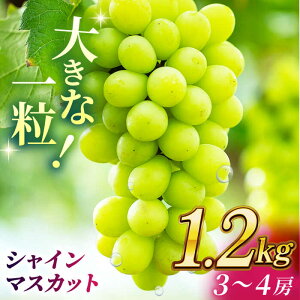 yӂ邳Ɣ[ŁzVC}XJbg 1.2kg(3`4[)y Еz[ZBZ012] uhE   Y F{ R ʕ  t[c lC LO uh Ly[ Yi 