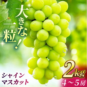 yӂ邳Ɣ[ŁzVC}XJbg 2kg(4`5[)y Еz[ZBZ013] uhE   Y F{ R ʕ  t[c lC LO uh Ly[ Yi 