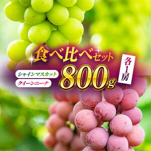 yӂ邳Ɣ[Łzy2026Ns\zHה׃Zbg 800giVC}XJbg & NC[j[i e[jy Еz[ZBZ018]