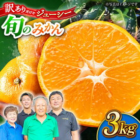 【ふるさと納税】【先行予約】【数量限定】【訳あり】家庭用 みかん 約3kg 詰め合わせ 柑橘【合同会社 社方園】[ZBZ020] ミカン 蜜柑 温州 うんしゅう 産地 柑橘 果物 くだもの フルーツ 人気 ランキング 旬 季節 産地直送 国産 熊本県 山鹿 期間限定 特産品 送料無料