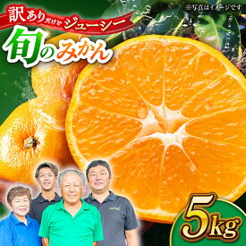 【ふるさと納税】【先行予約】【数量限定】【訳あり】家庭用 みかん 約5kg 詰め合わせ 柑橘【合同会社 社方園】[ZBZ021] ミカン 蜜柑 温州 うんしゅう 産地 柑橘 果物 くだもの フルーツ 人気 ランキング 旬 季節 産地直送 国産 熊本県 山鹿 期間限定 特産品 送料無料