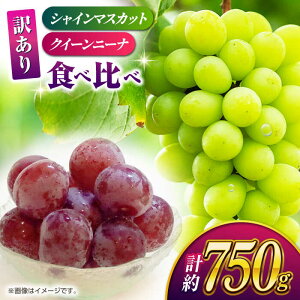 yӂ邳Ɣ[Łzy󂠂zHה׃Zbg 750giVC}XJbg 1[ & NC[j[i ؂藎Ƃ 300gjy Еz[ZBZ024] uhE   Y F{ R ʕ t