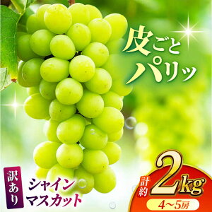 yӂ邳Ɣ[Łzy󂠂zeʑIׂIVC}XJbgi600g~2kgjy Еz[ZBZ027] uhE   Y F{ R ʕ  t[c lC LO u