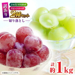 yӂ邳Ɣ[Łz󂠂 gԂǂ2iVC}XJbgNC[j[ijHה ؂藎Ƃ v1kg y Еz[ZBZ041]