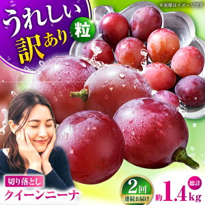 yӂ邳Ɣ[Łzy2026Ns\zy2ցz@󂠂 NC[j[i Ԃǂ ؂藎Ƃ 700g y Еz[ZBZ044]