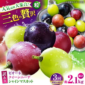 yӂ邳Ɣ[Łzys\zy3ցz 󂠂 ႤԂǂ͂I Ԃǂ3 Hה ؂藎Ƃ 700g y Еz[ZBZ048]