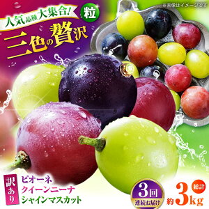 yӂ邳Ɣ[Łzys\zy3ցz 󂠂 ႤԂǂ͂I Ԃǂ3 Hה ؂藎Ƃ 1kg y Еz[ZBZ049]