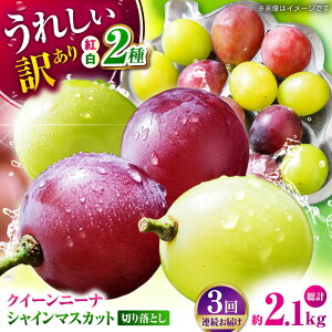 yӂ邳Ɣ[Łzys\zy3ցz 󂠂 1ނ͂I gԂǂ2 Hה ؂藎Ƃ 700g y Еz[ZBZ050]