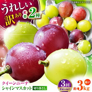 yӂ邳Ɣ[Łzys\zy3ցz 󂠂 1ނ͂I gԂǂ2 Hה ؂藎Ƃ 1kg y Еz[ZBZ051]