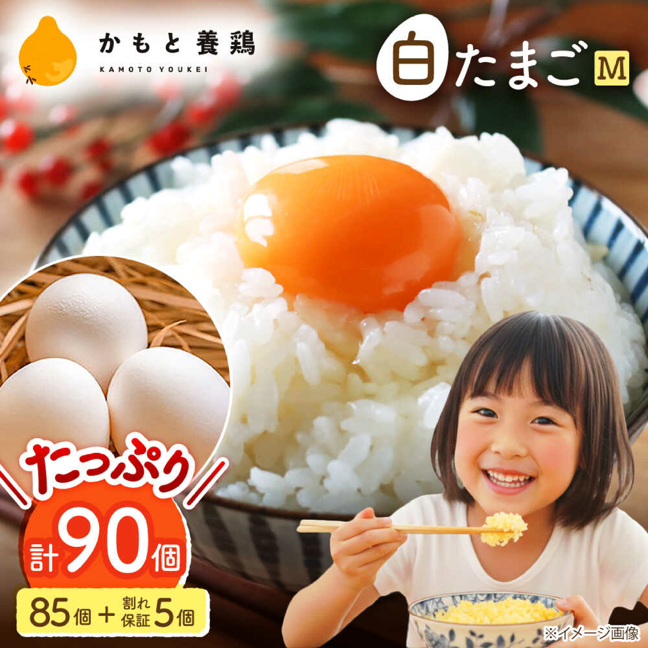 【ふるさと納税】白たまごM玉90個（85個＋5個割れ保証）【農事組合法人鹿本養鶏組合】[ZCA001]